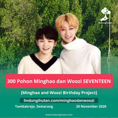 300 Pohon Minghao dan Woozi