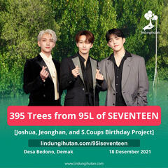 395 Trees from 95L of SEVENTEEN